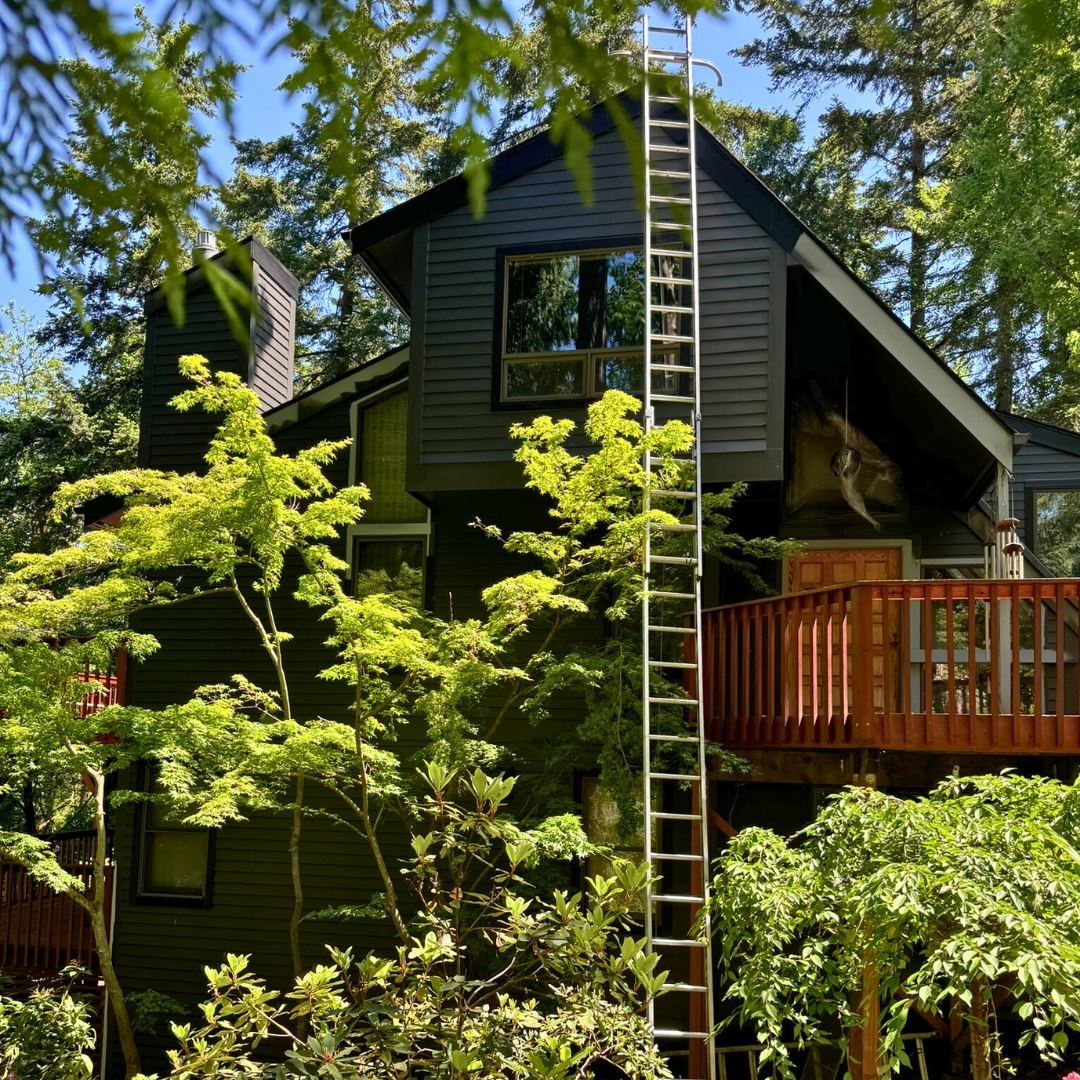 Tall Home exterior paint with ladder final